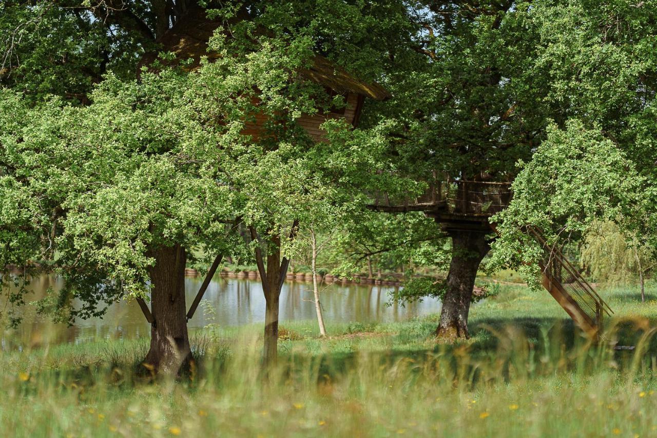 Cabane Perchee Dans Les Arbres Saint-Hilaire-en-Morvan Kültér fotó