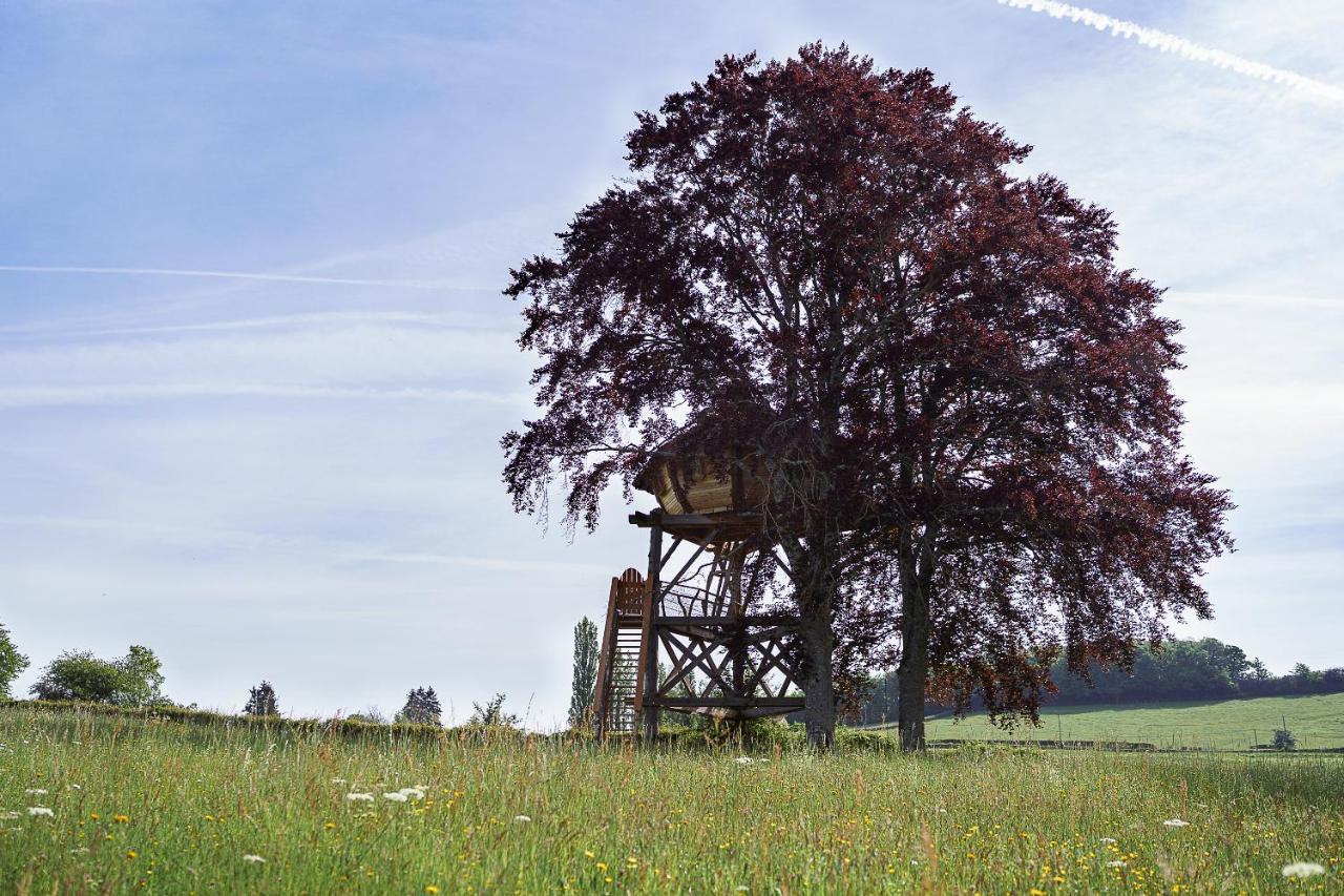 Cabane Perchee Dans Les Arbres Saint-Hilaire-en-Morvan Kültér fotó