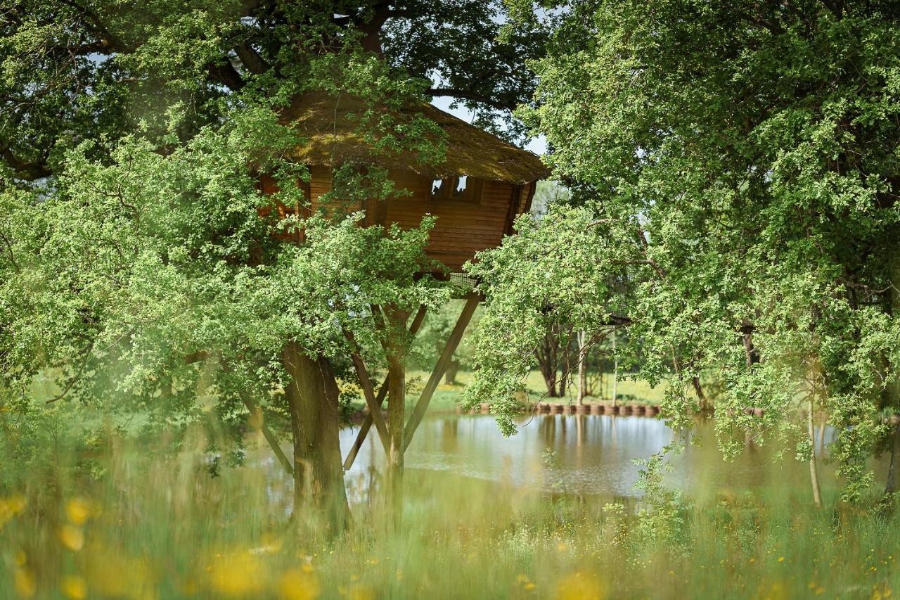 Cabane Perchee Dans Les Arbres Saint-Hilaire-en-Morvan Kültér fotó