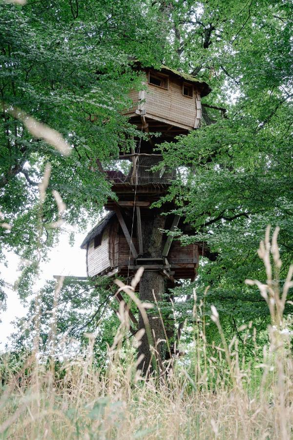 Cabane Perchee Dans Les Arbres Saint-Hilaire-en-Morvan Kültér fotó