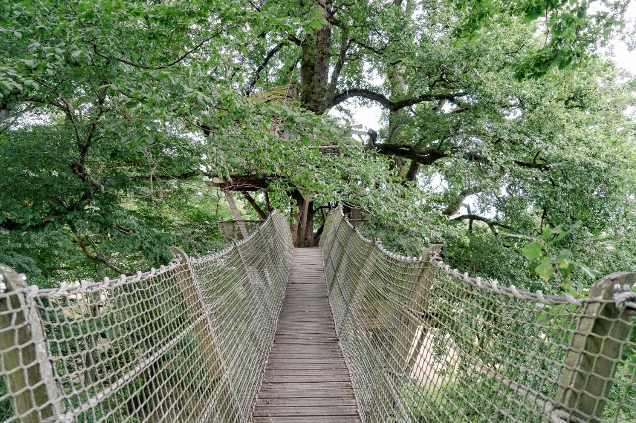 Cabane Perchee Dans Les Arbres Saint-Hilaire-en-Morvan Kültér fotó