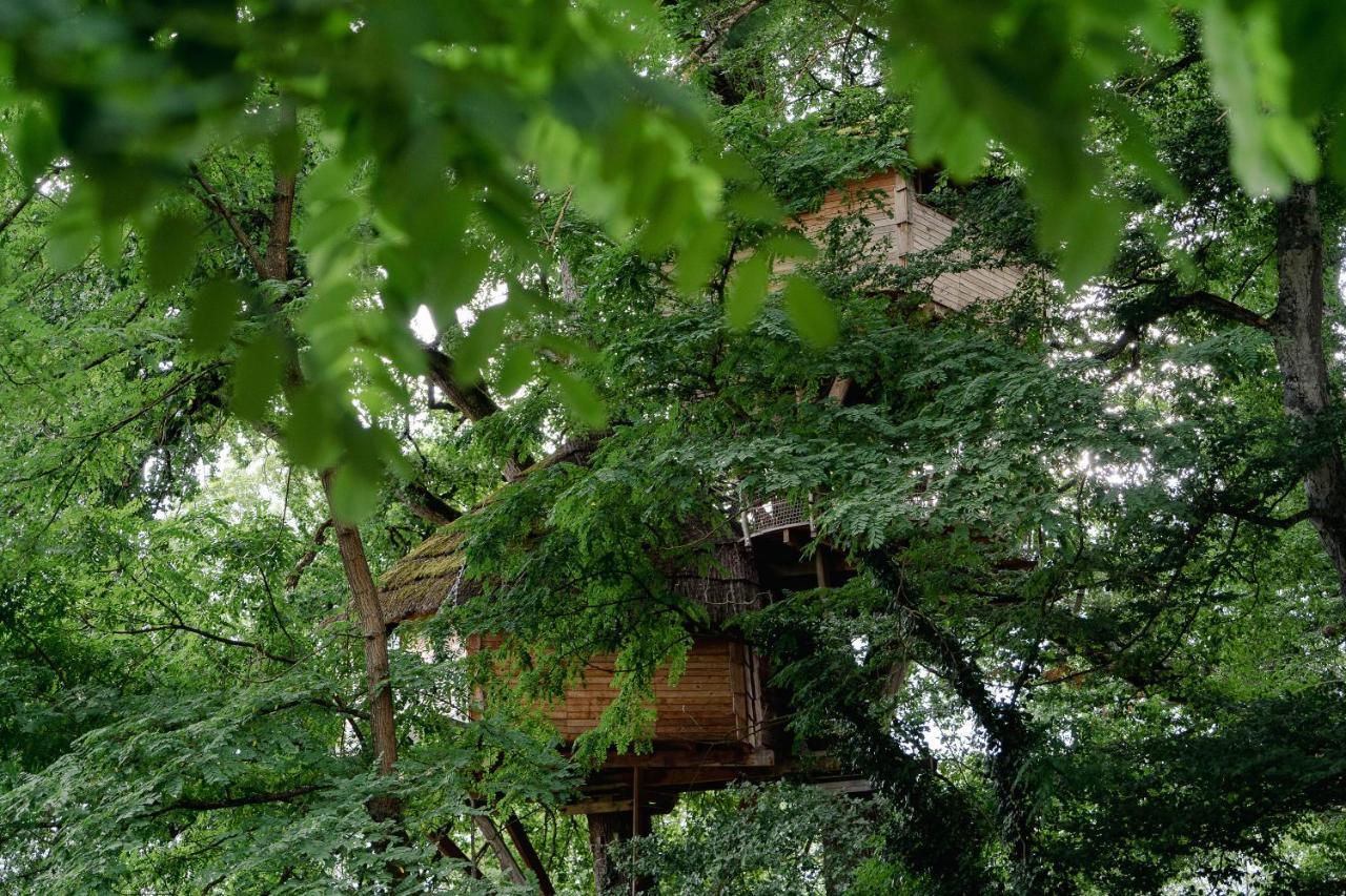 Cabane Perchee Dans Les Arbres Saint-Hilaire-en-Morvan Kültér fotó
